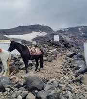 Mount Ararat Tour 8 Days