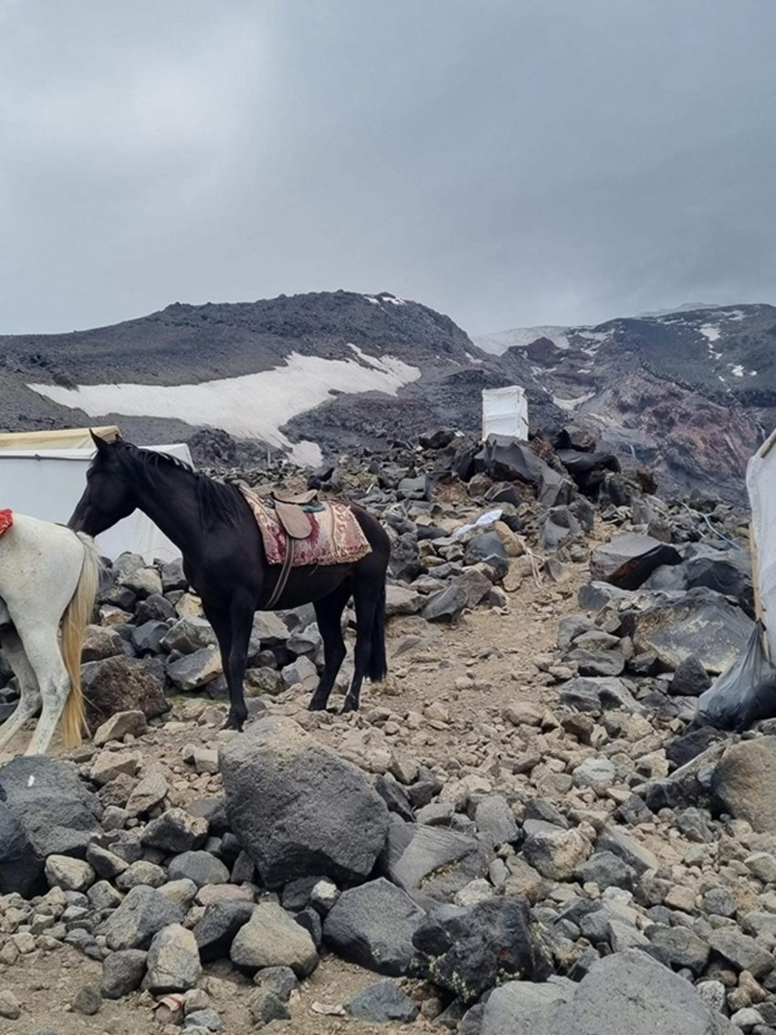 Mount Ararat Tour 8 Days