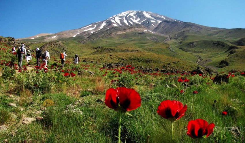 Mount Damavand Tour 8 Days